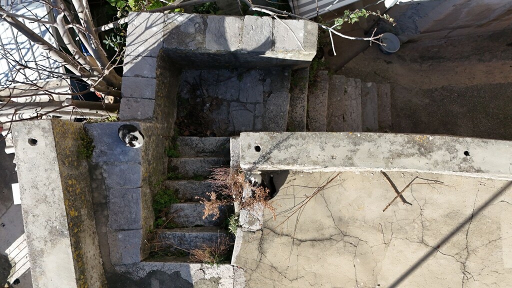 Image 8