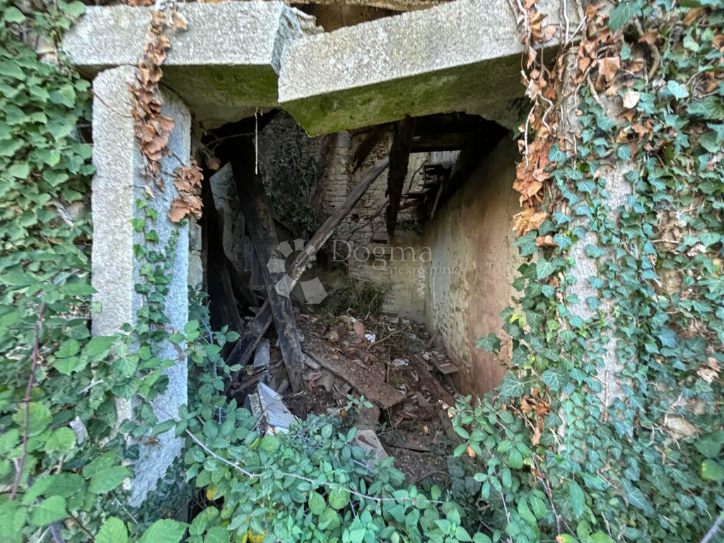 Image 15