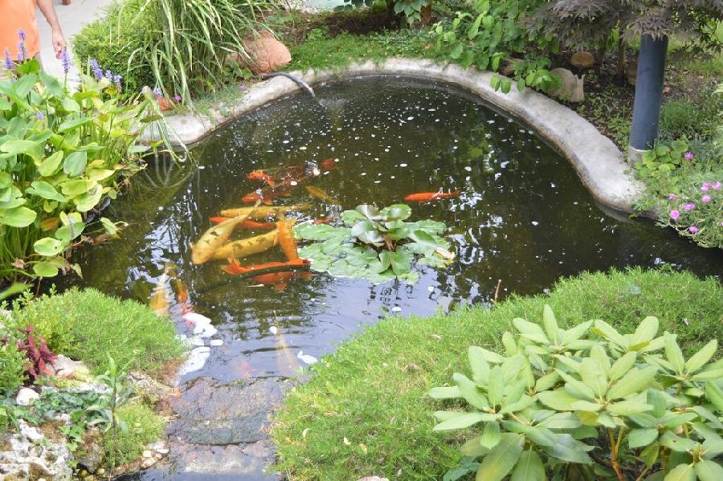 Image 10