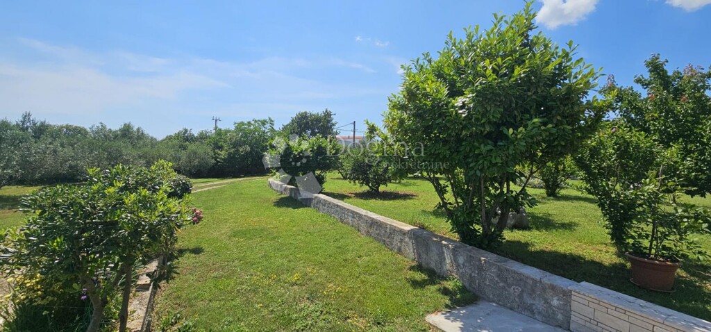Image 14