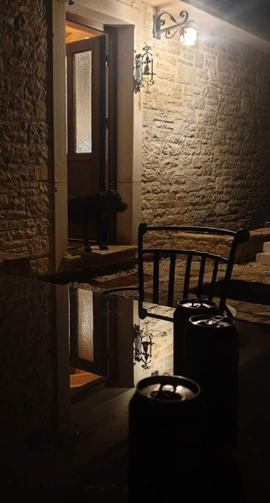 Image 11