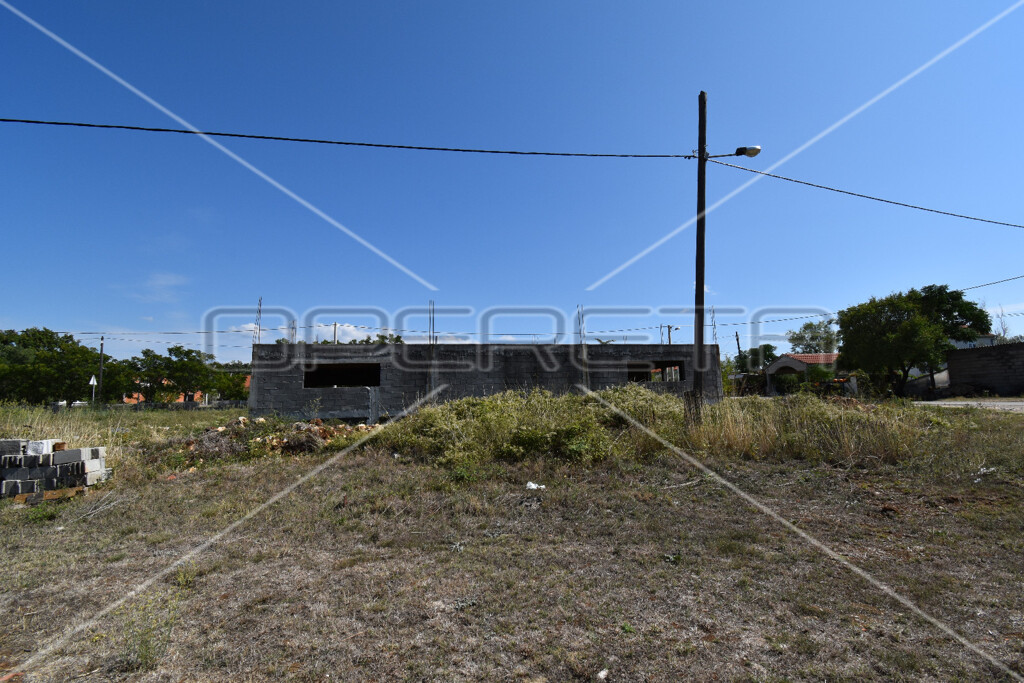 Image 20