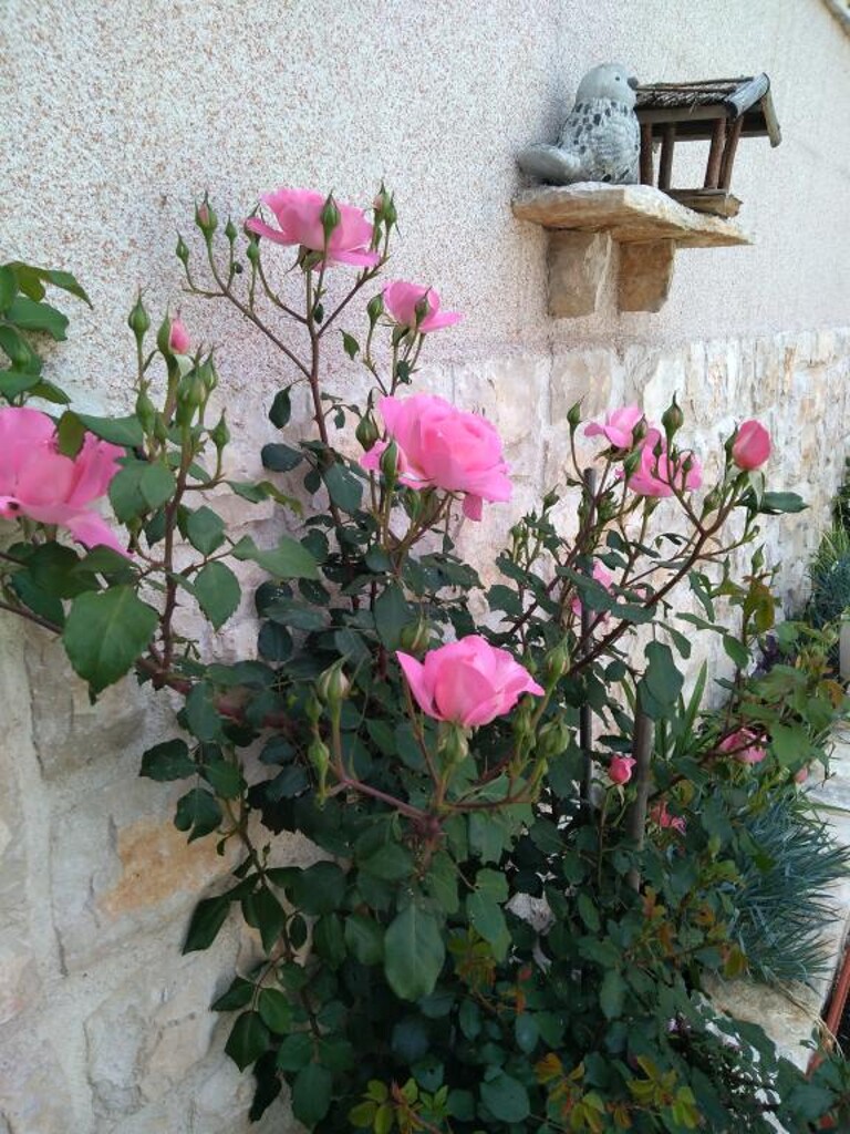 Image 3813294 - 10