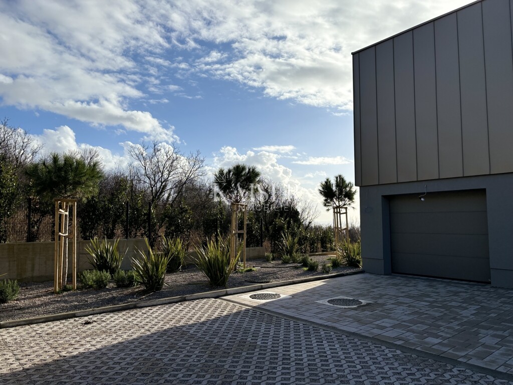 Image 19