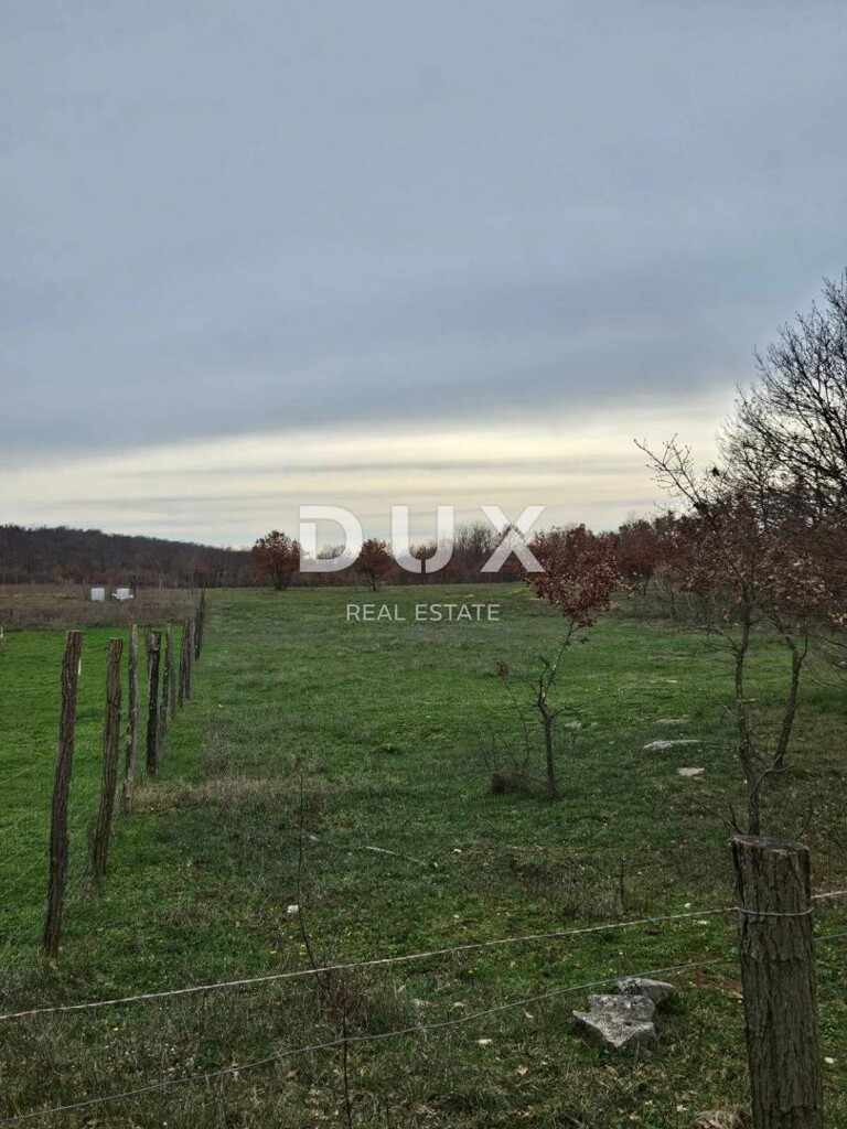 Image 13