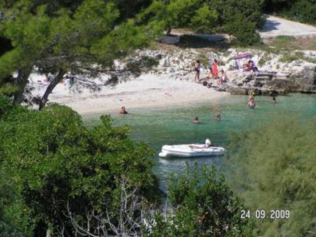Image 3815166 - 5