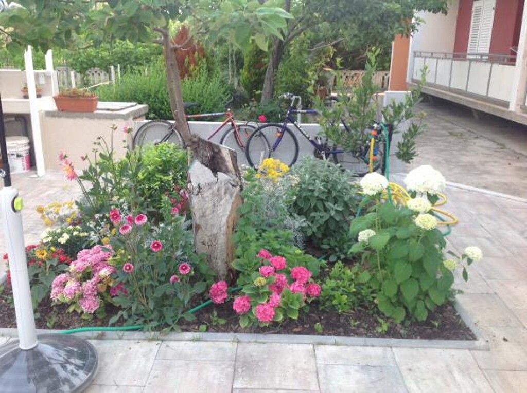 Image 3814061 - 9