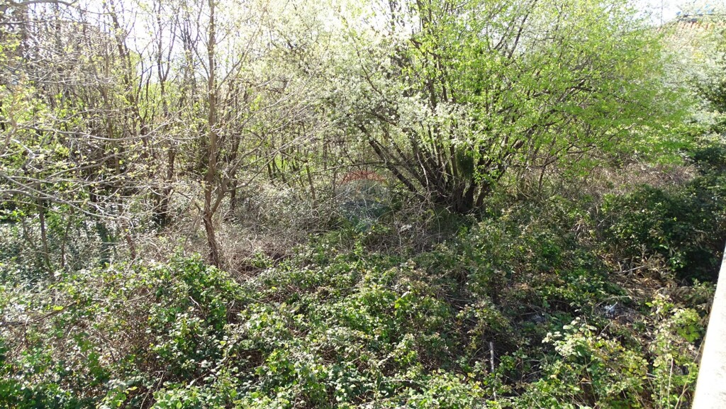 Image 5430142 - 2