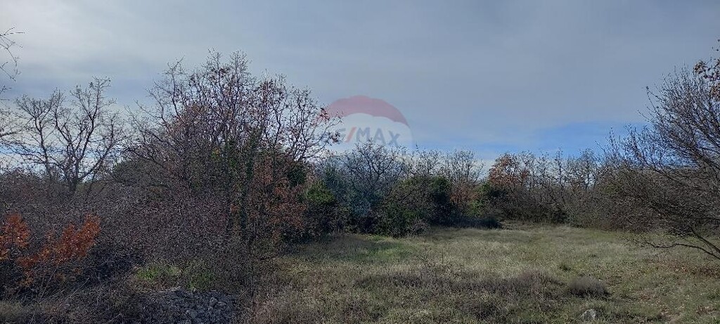 Image 5430289 - 5