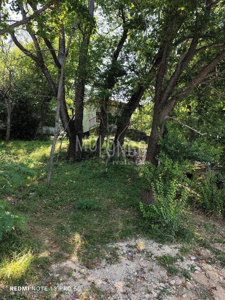 Image 6109096 - 11