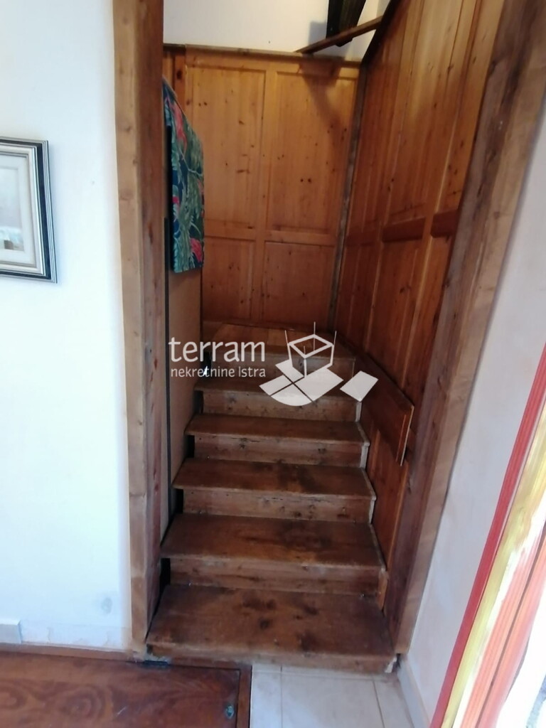 Image 13