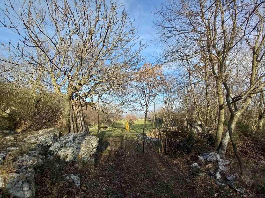 Image 11
