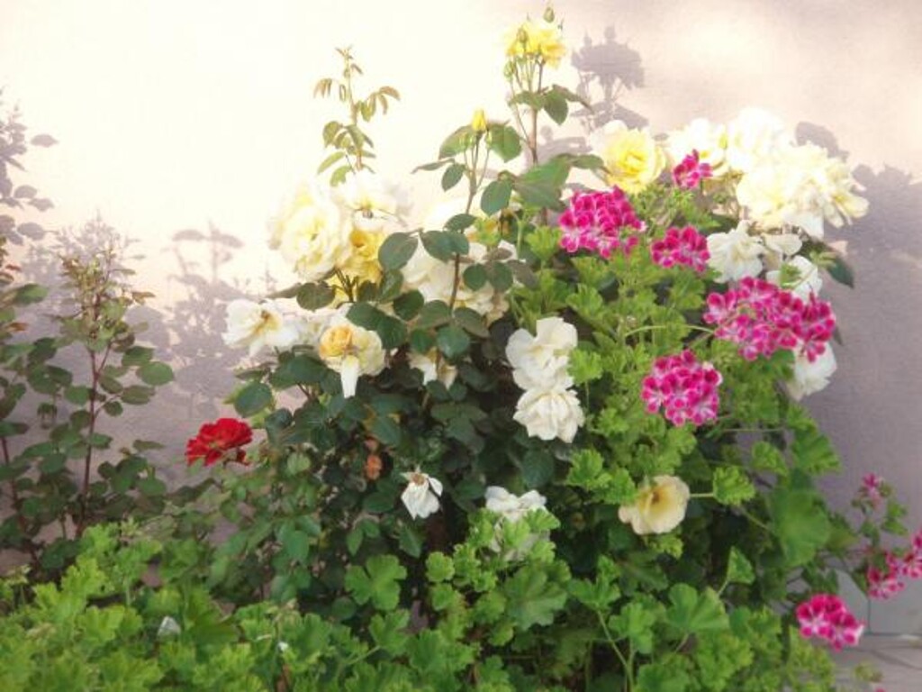 Image 3810845 - 5
