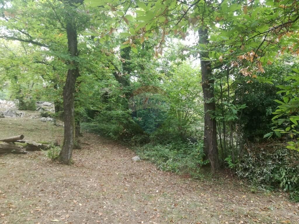 Image 5410190 - 6