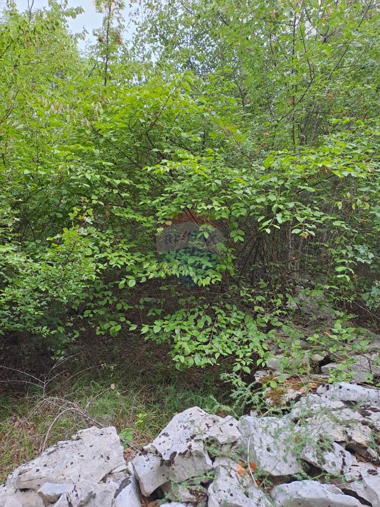 Image 5429198 - 5