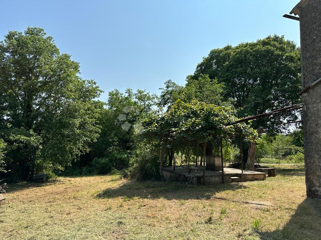 Image 23
