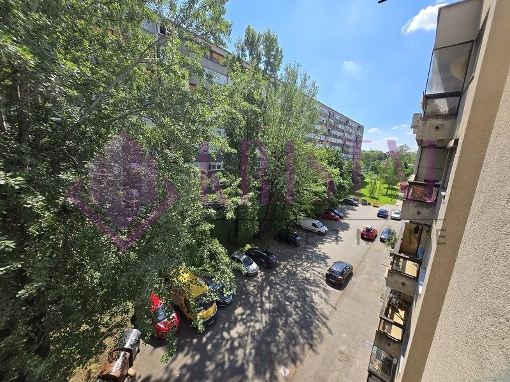 Image 21
