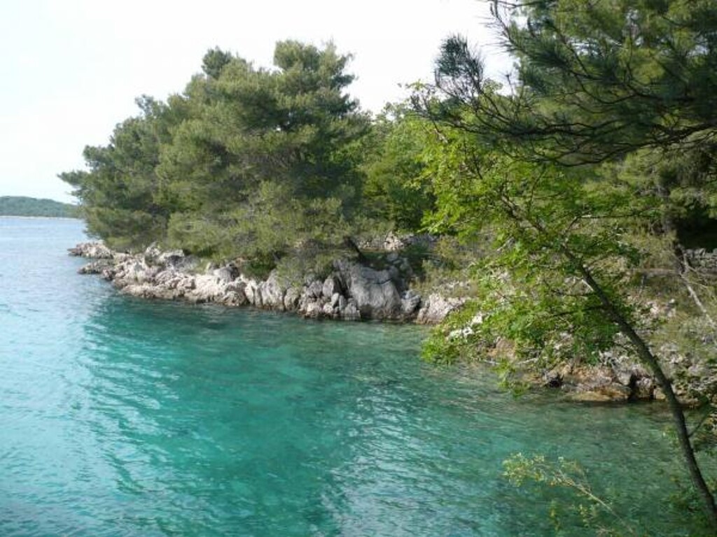 Image 3813978 - 21