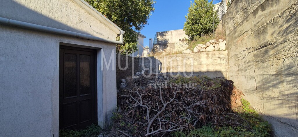 Image 6197464 - 22