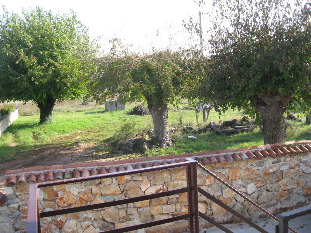 Image 19