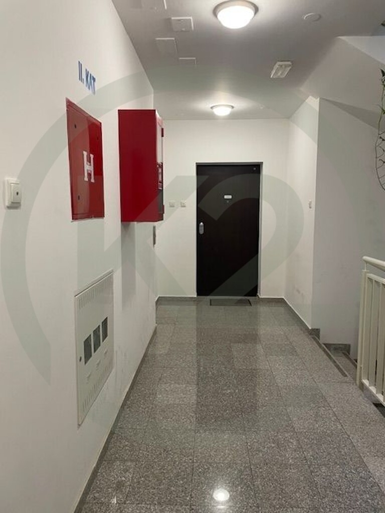 Image 21