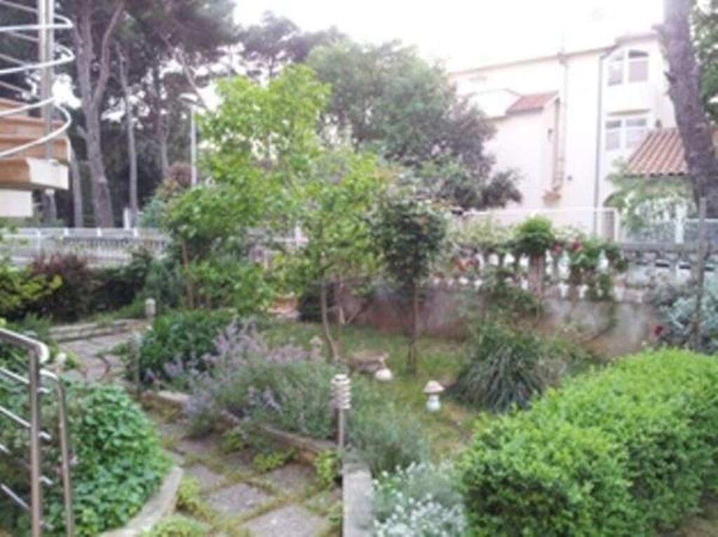 Image 3812605 - 3