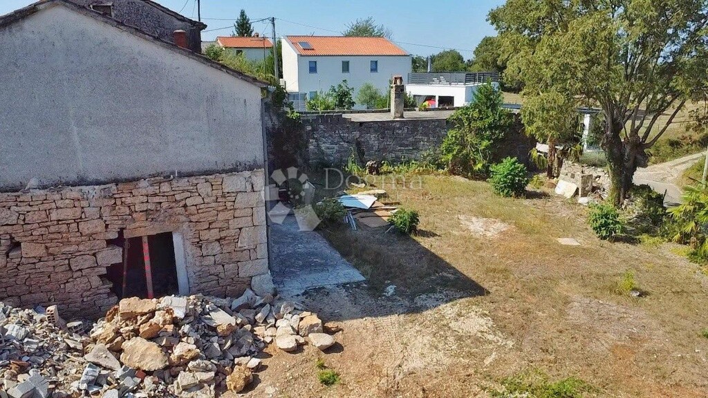 Image 15