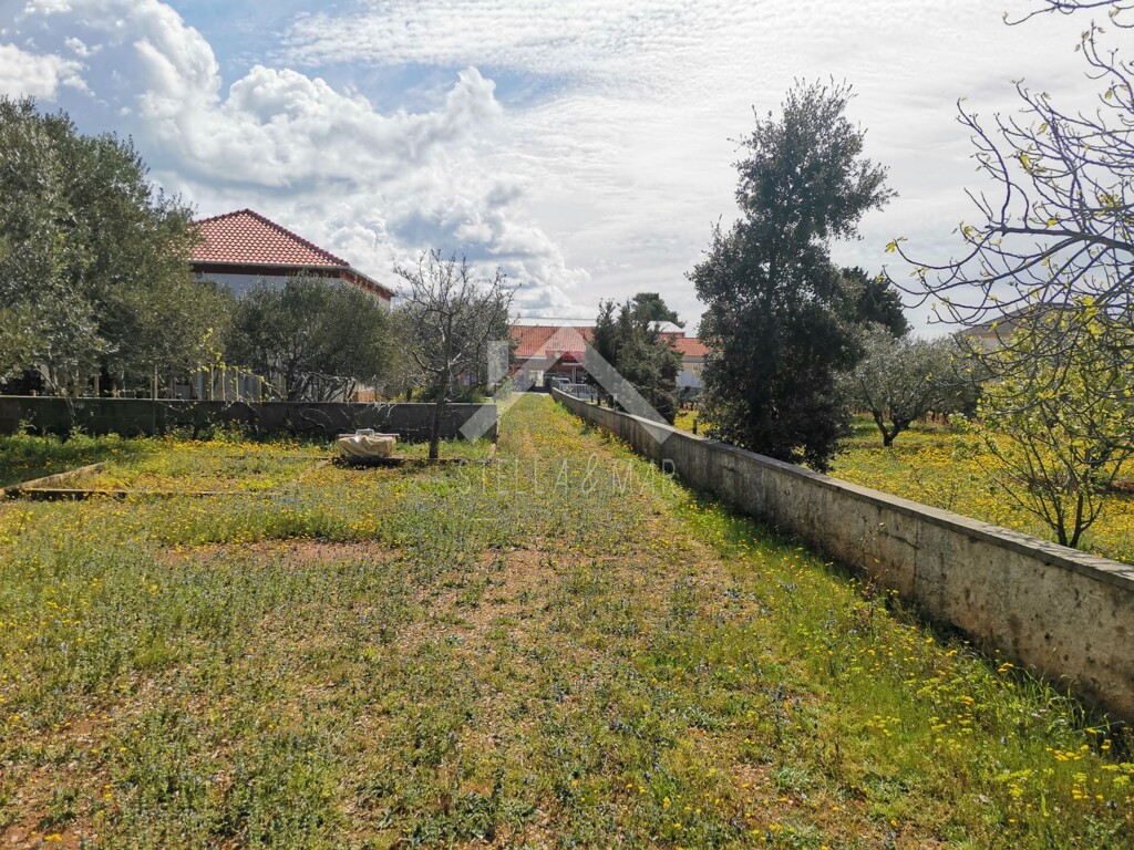 Image 5316676 - 5