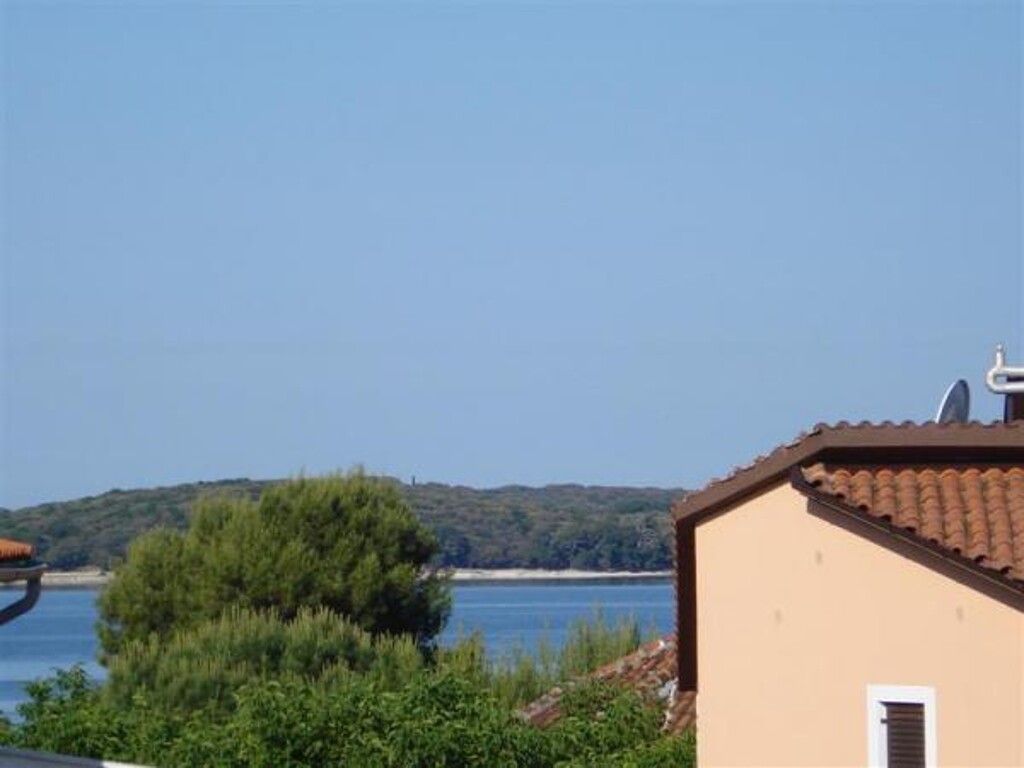 Image 3810893 - 8