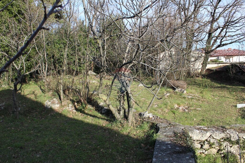 Image 5409735 - 6