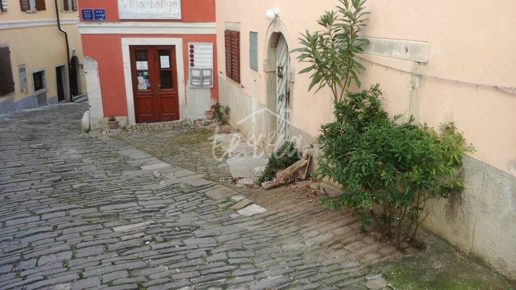 Image 13