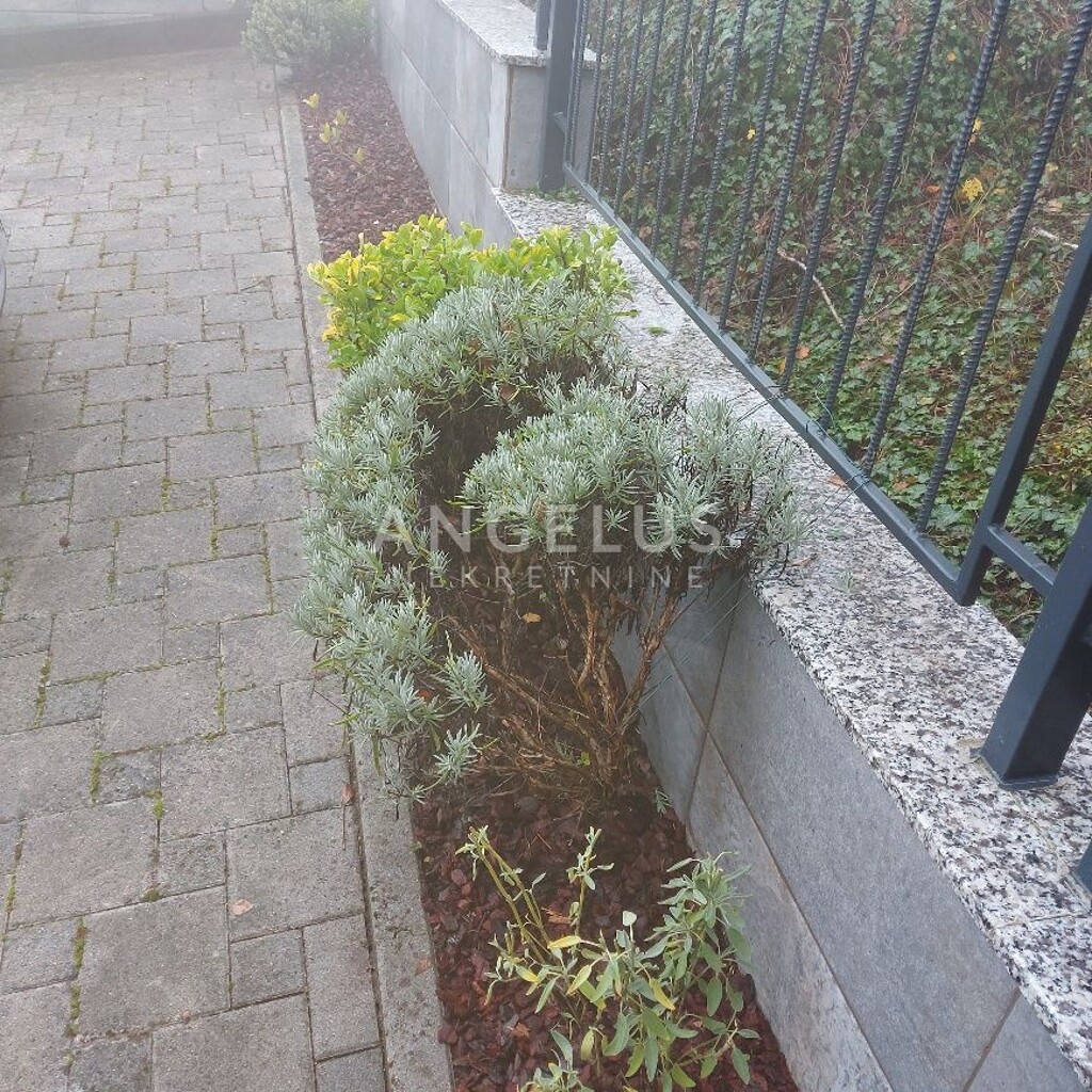 Image 6208758 - 12