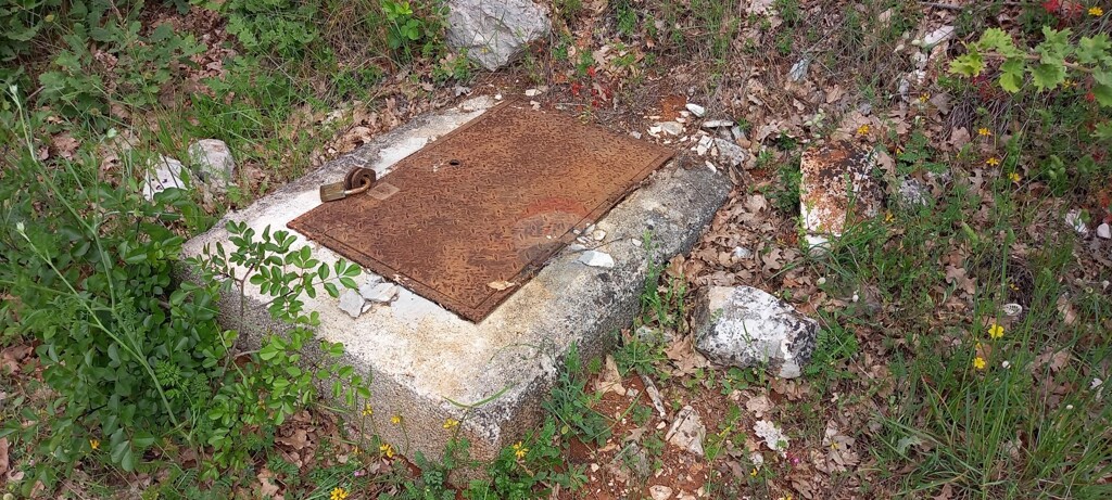 Image 25
