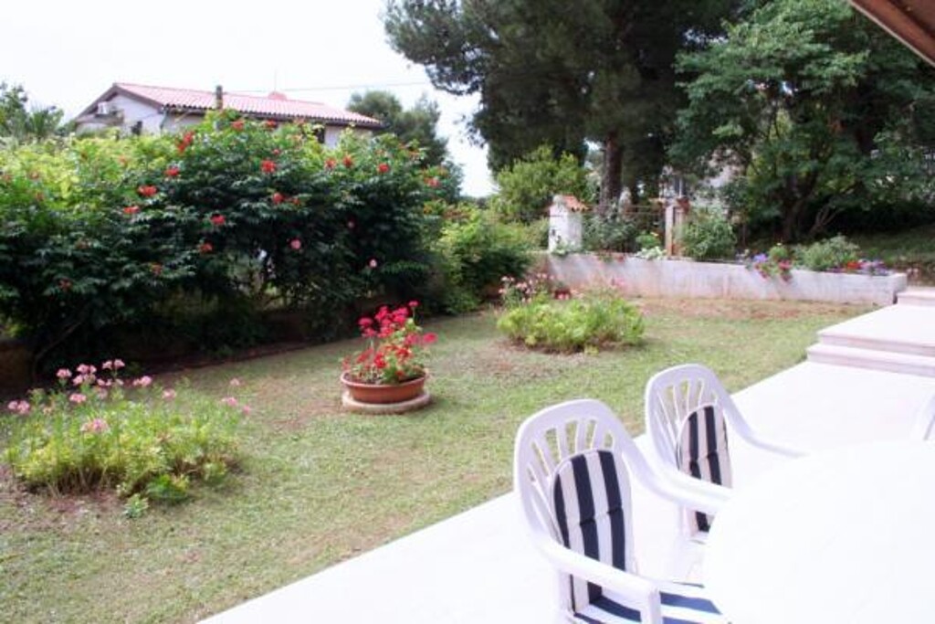 Image 3838879 - 3