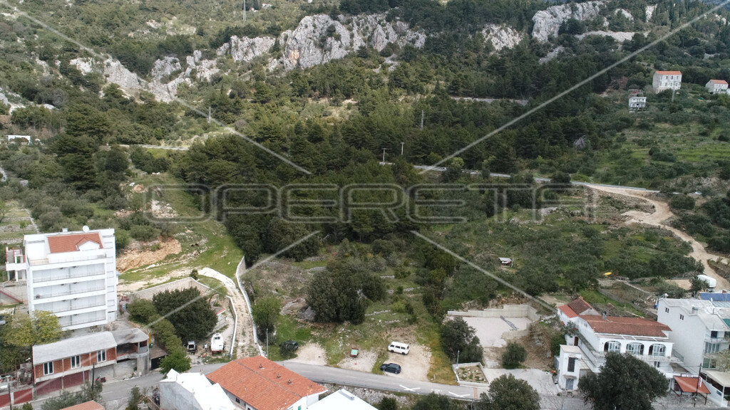 Image 13