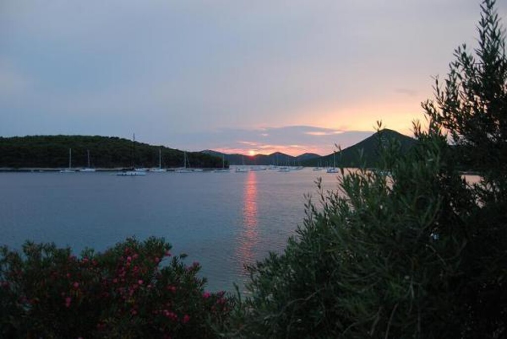 Image 3812144 - 8