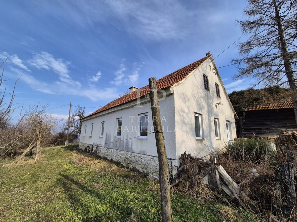 Image 16