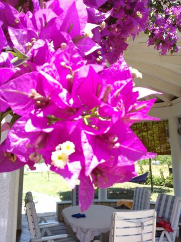 Image 3811241 - 29