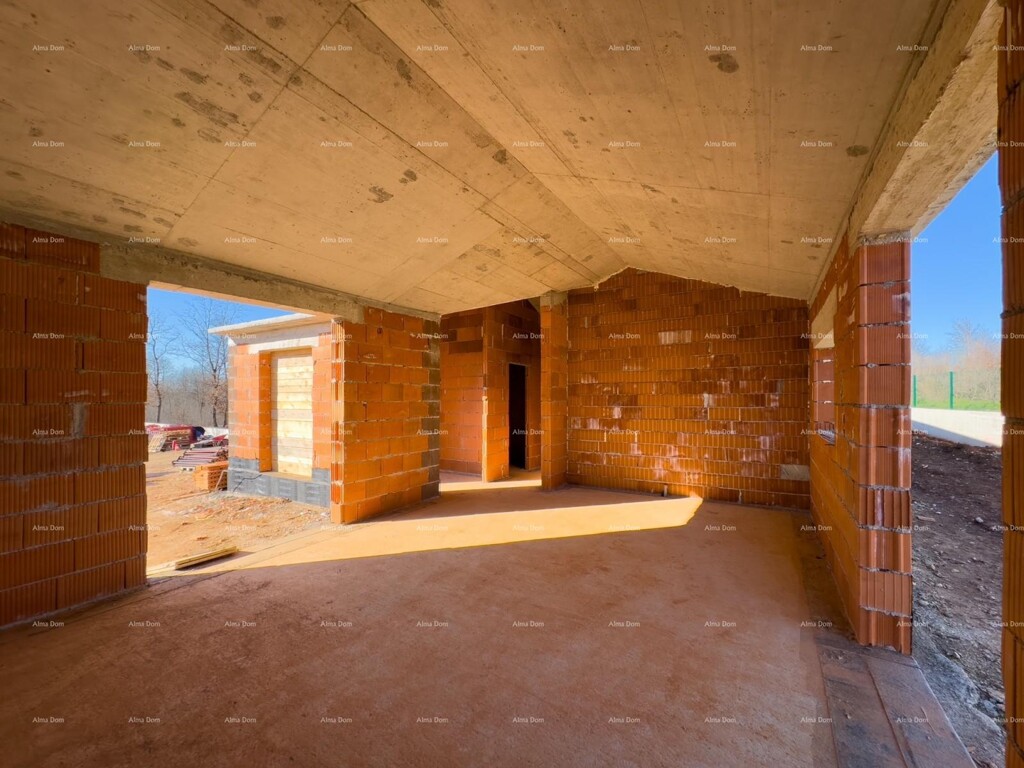 Image 13