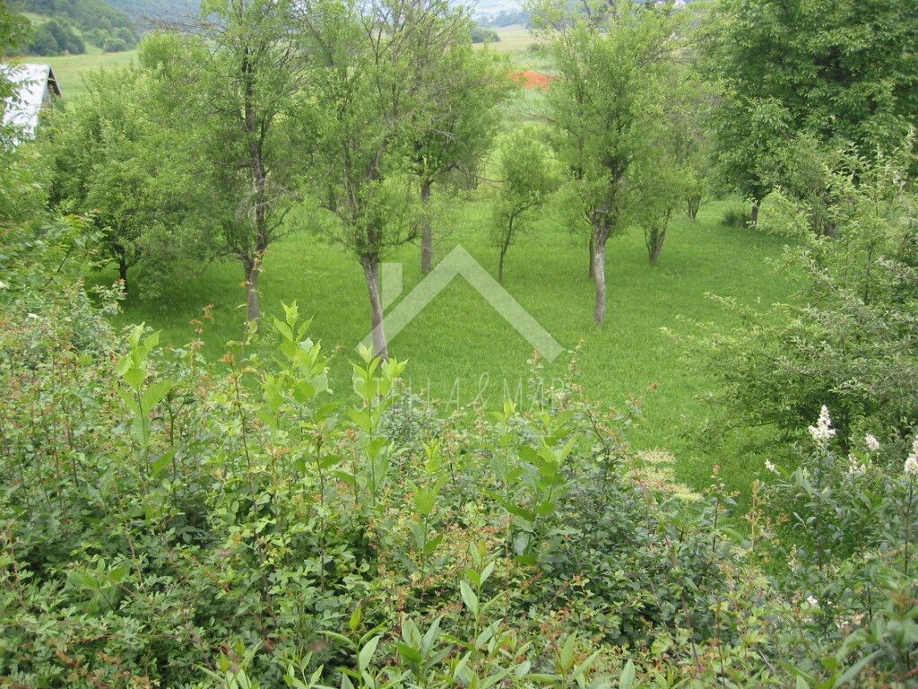 Image 5195037 - 6