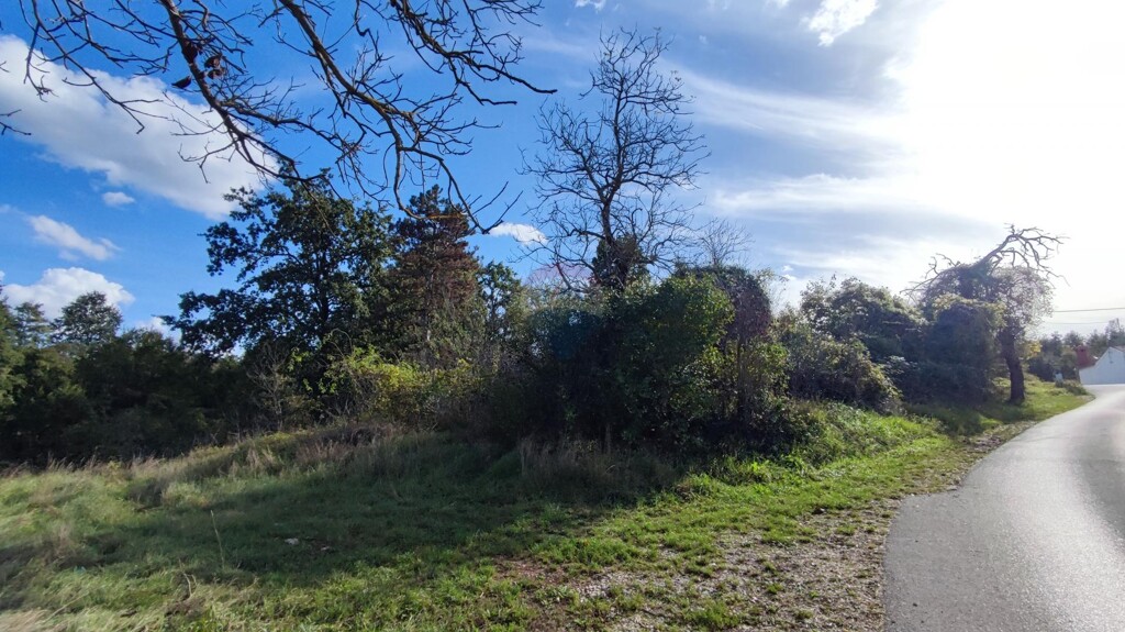 Image 5429104 - 3