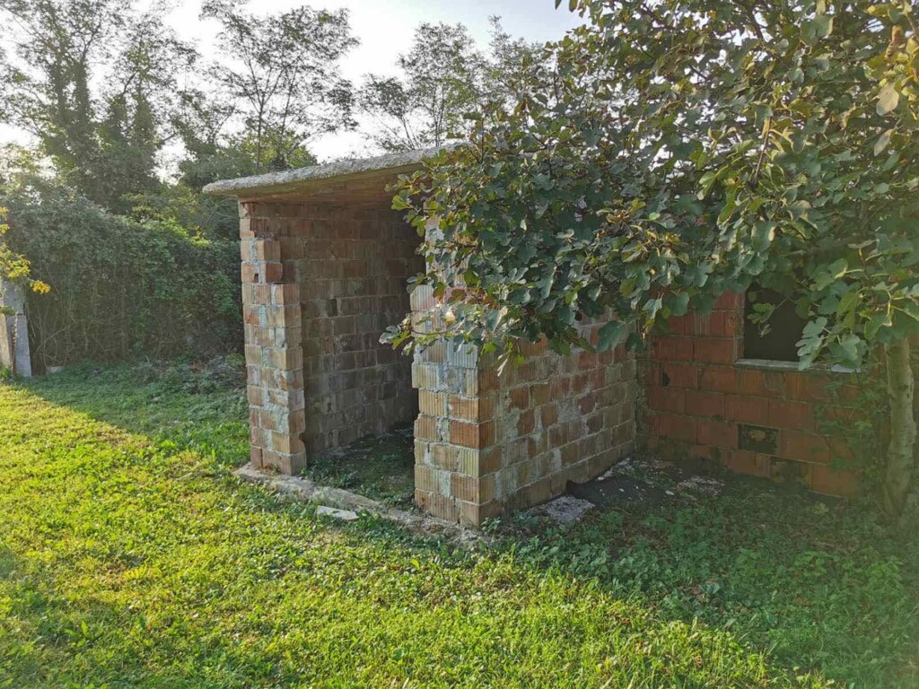Image 5429165 - 8