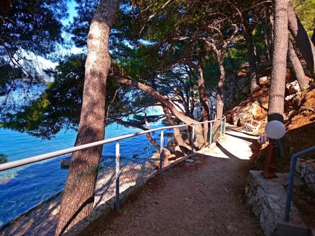 Image 3812461 - 9