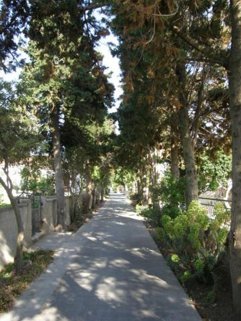 Image 3813226 - 10