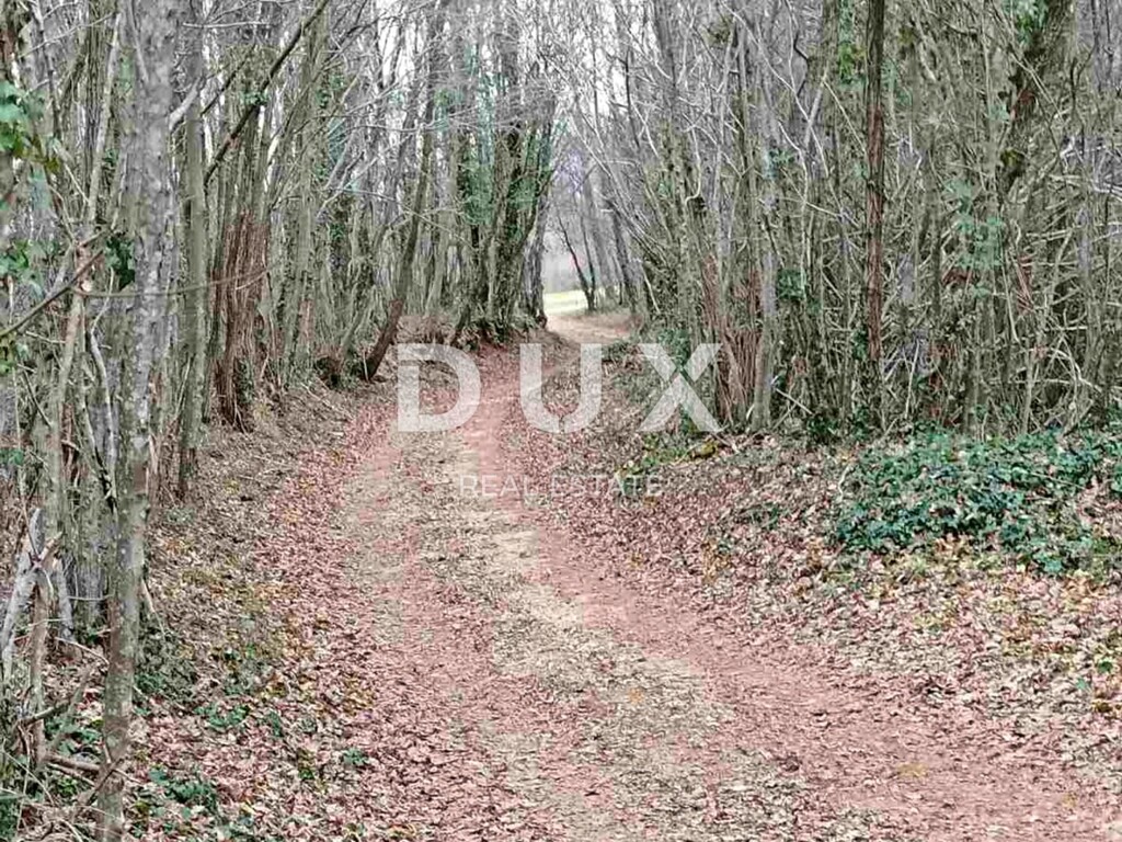 Image 15
