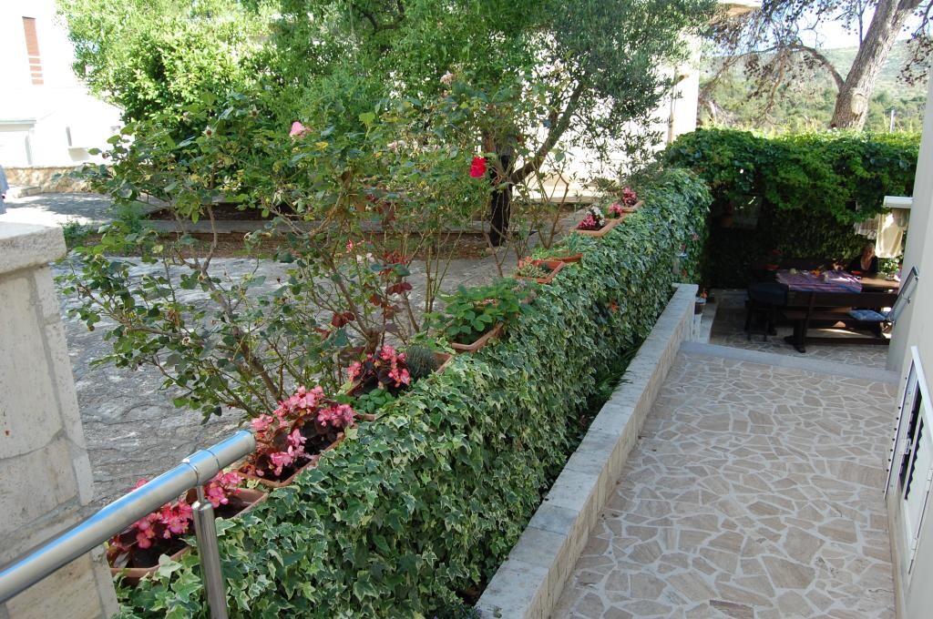 Image 15