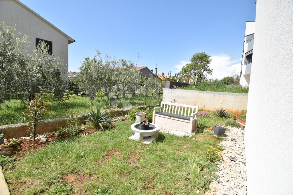 Image 22
