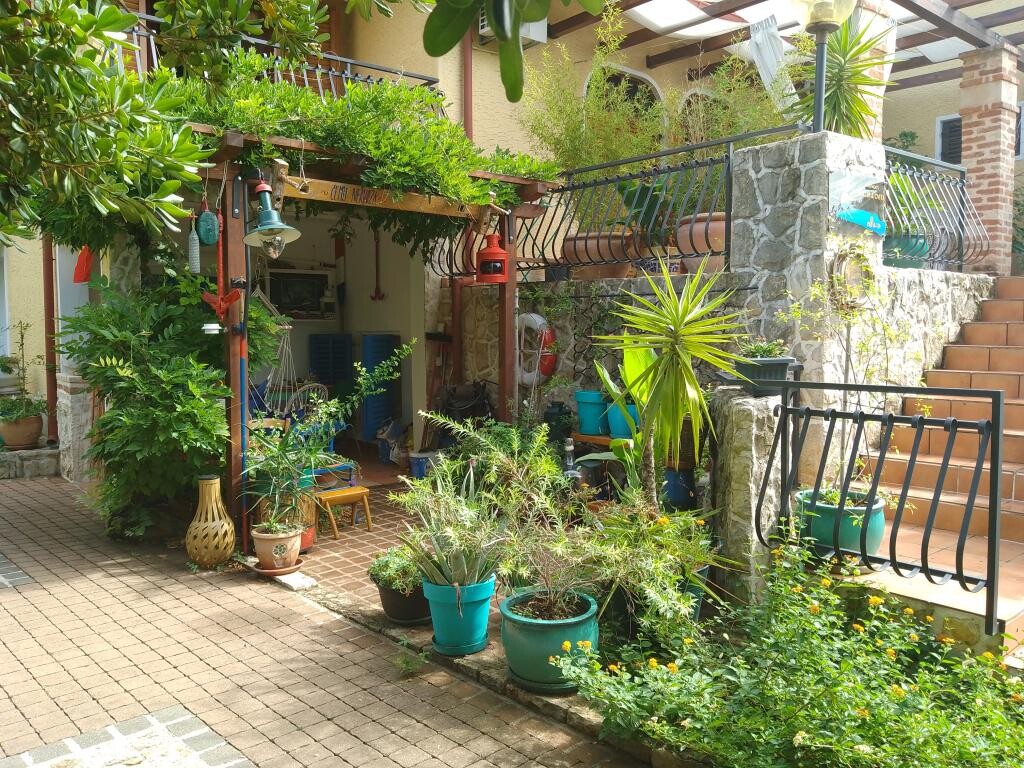 Image 3810665 - 44