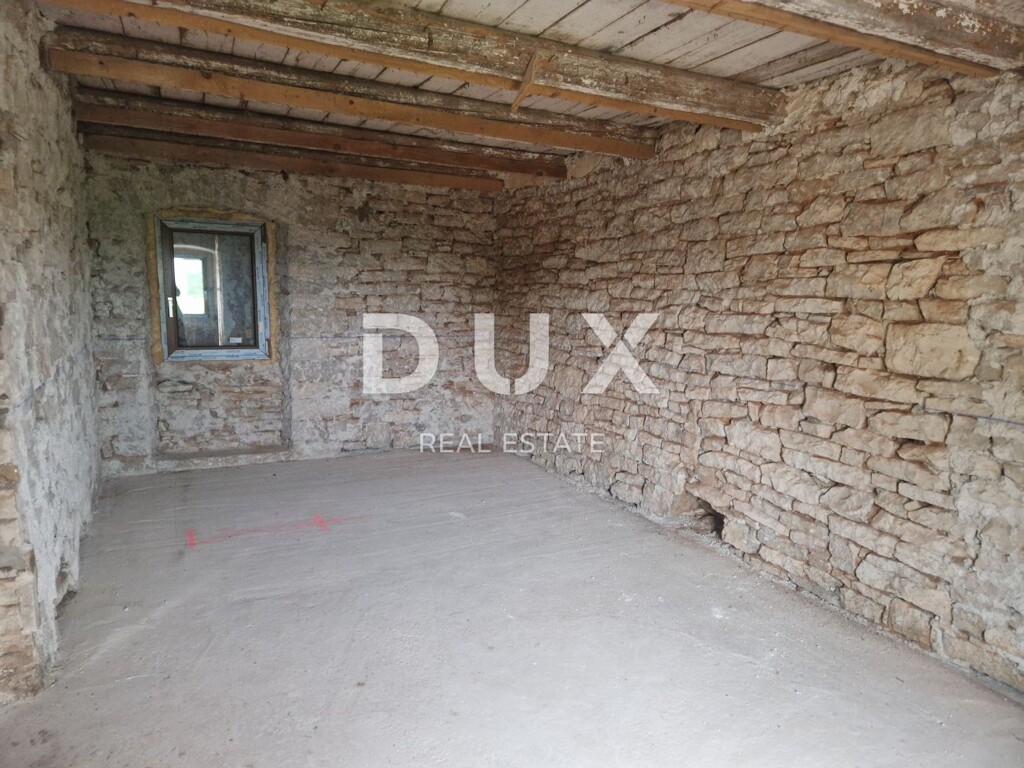 Image 14