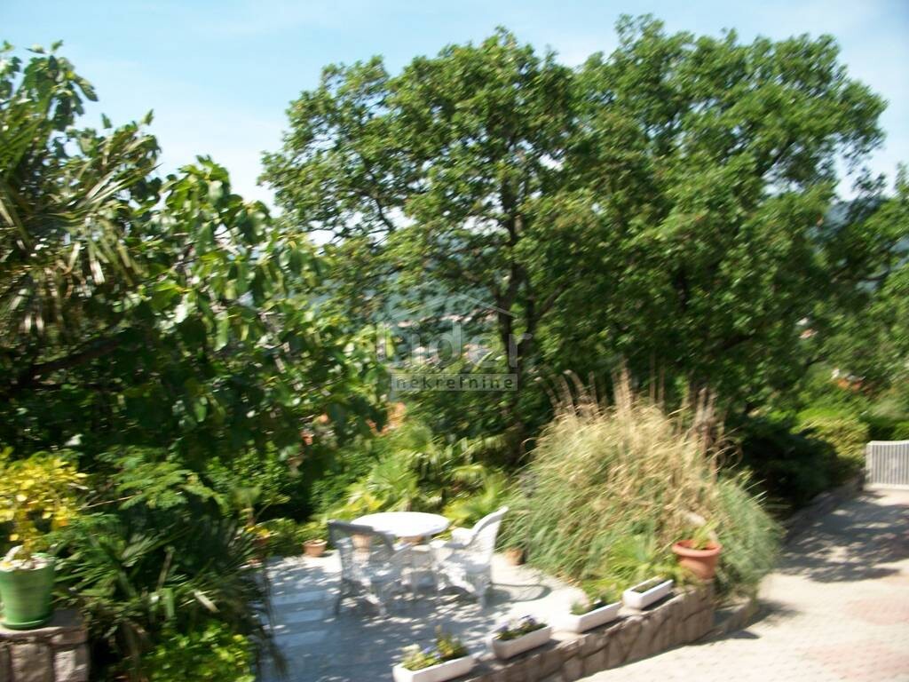 Image 1882579 - 20